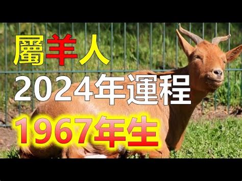 1967年屬羊|【67年次屬】民國67年次屬什麼生肖？幾歲？一文搞。